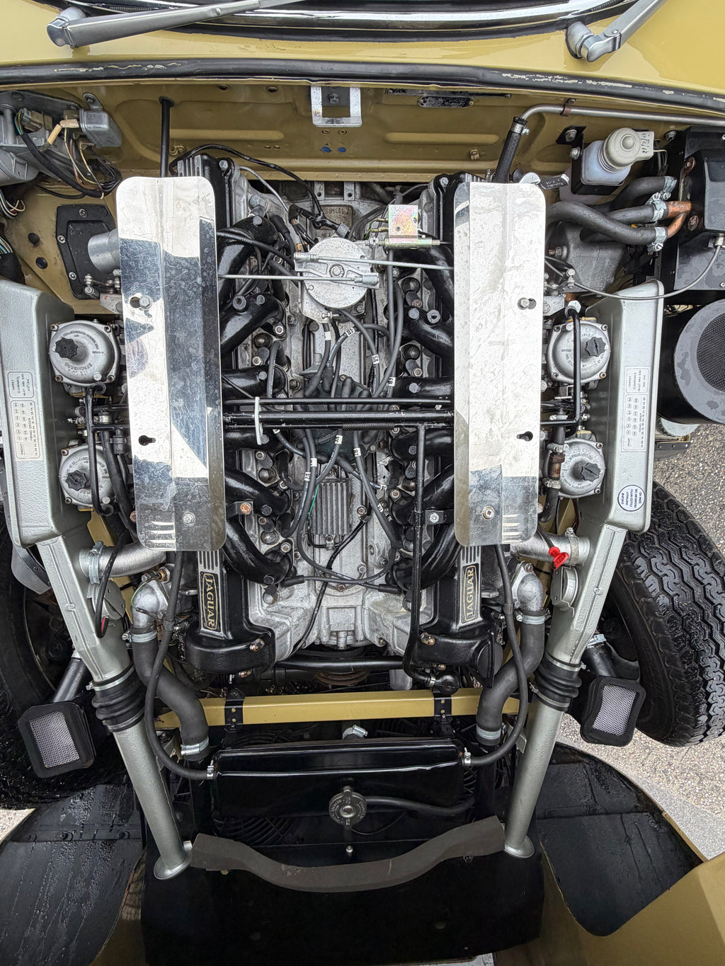 JAGUAR E-Type Series 3